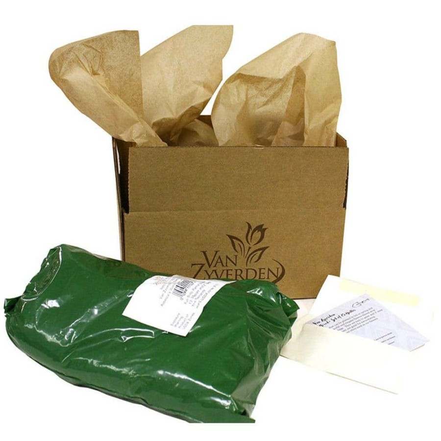 * Van Zyverden Peonies Sarah Bernhardt Bulbs (3-Pack)