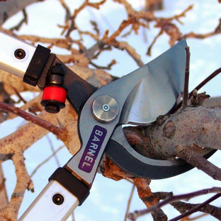 * Barnel Usa 36 In. Professional Orchard By-Pass Lopper